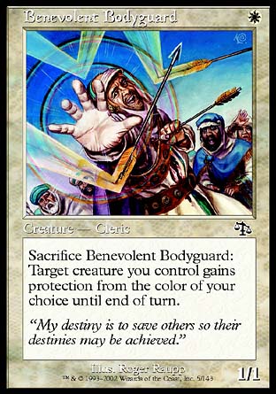 Benevolent Bodyguard